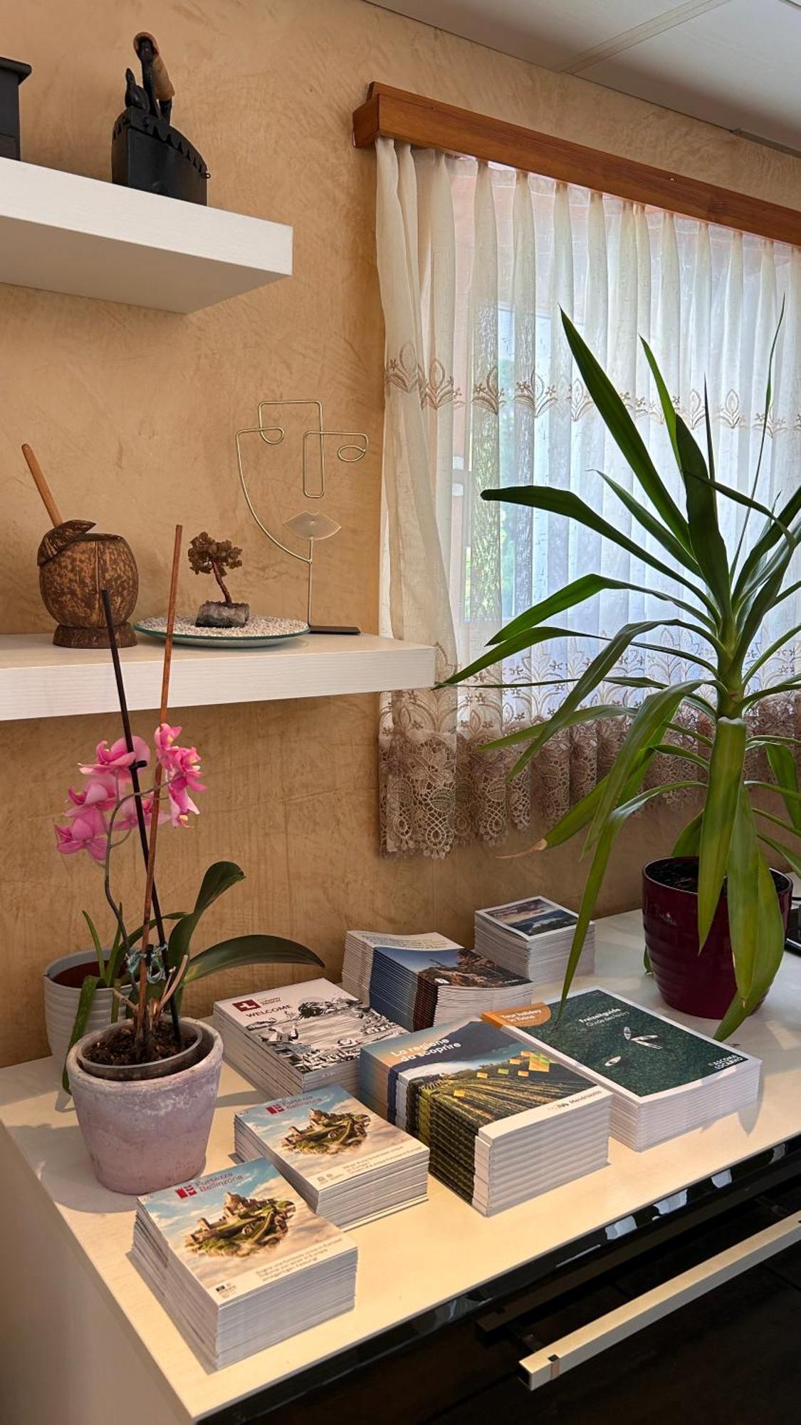 A Hilarious Hideaway In Roveredo Apartment Bagian luar foto